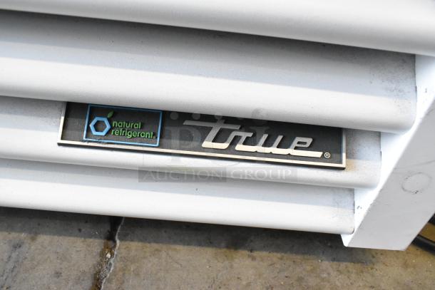 True TSCI-600R-G-PH label showcasing natural refrigerant, part of single door cooler merchandiser.