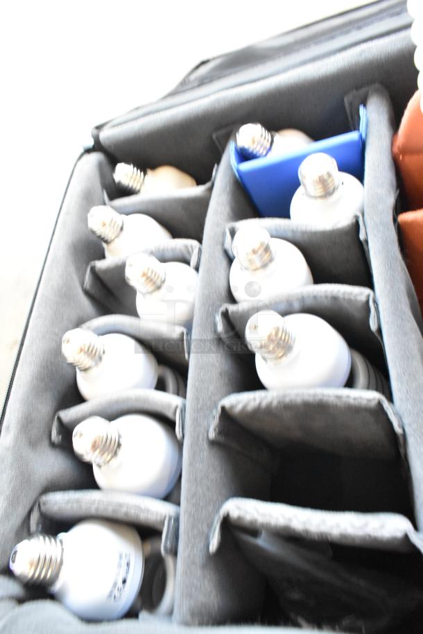 Case of lightbulbs in padded compartments, organized neatly. Lightbulbs appear new with standard screw bases, stored in a blue and gray case.