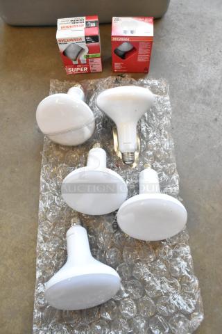 Lot of Sylvania lightbulbs in poly bin, includes boxed A19 models and loose bulbs on bubble wrap. 