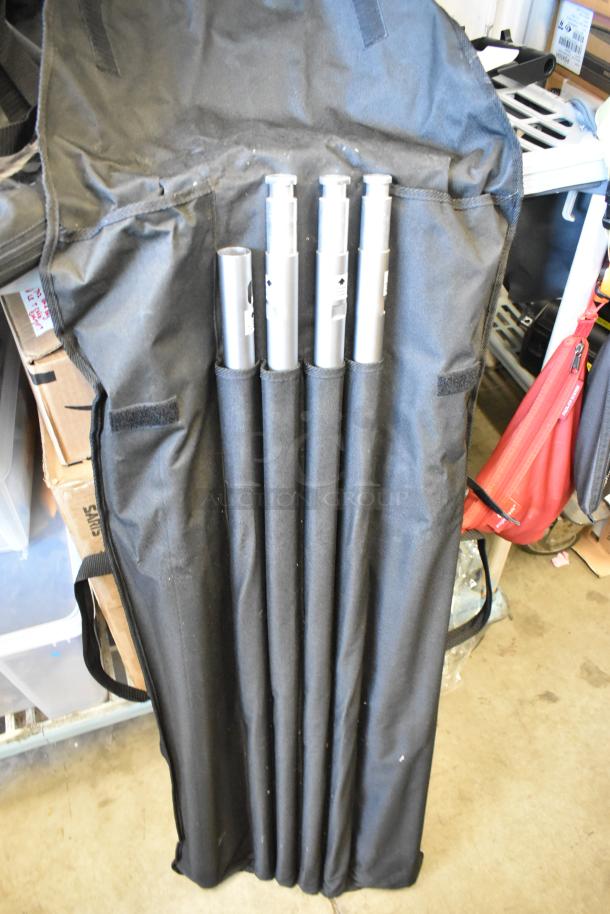 Impact Backdrop Support Kit in case, silver poles in black carry bag, excellent condition, ideal for studio setups.