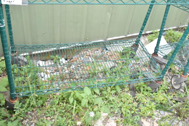 Green 3-tier wire shelving unit on commercial casters, outdoors. Requires dismantling; freight charges apply.