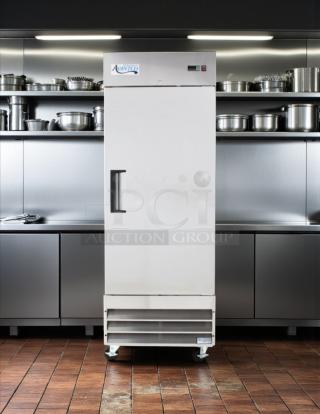 Amazing Condition - Avantco A-19F-HC 29