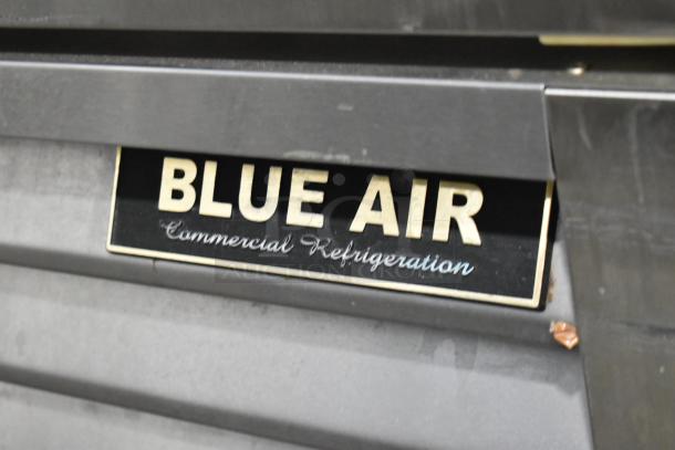 Blue Air BASR2 stainless steel commercial 2-door cooler, 115V, 1-phase, on casters, with "Commercial Refrigeration" label.