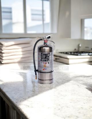 Protex II Model H-25715296 wet chemical fire extinguisher in excellent condition, with label instructions visible.