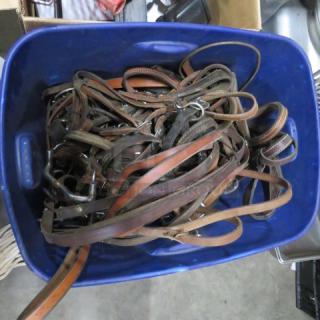 Blue bin filled with assorted leather straps, various lengths and conditions, with visible buckles and clasps.
