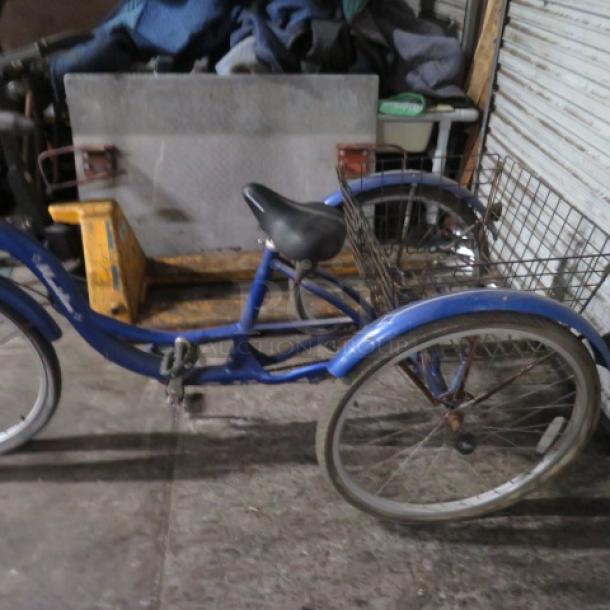 Vintage Schwinn Meridian Tricycle, blue, with rear basket, used condition, notable for collectible value and sturdy design.
