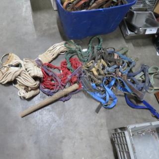 A pile of assorted leather straps in various colors and sizes, mixed with ropes, on a concrete floor. Signs of wear visible.
