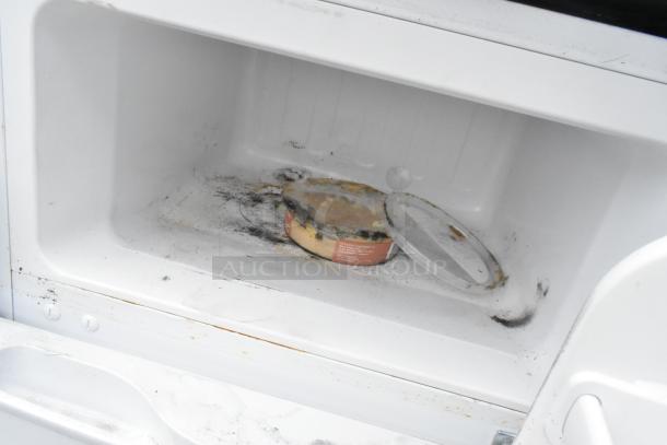 Edgestar mini cooler interior with visible mold and dirt. Cooler requires cleaning and maintenance. 115 volts, 1 phase.