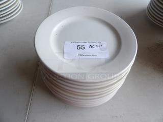 9" bright white wide rim rolled edge stoneware plate stack, 12 plates. Auction label indicates quantity and auction website.