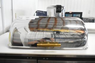 2 brand new Acopa 922EC15LD 8 Qt. chafers with gold trim, reflecting surroundings. Marked as "scratch and dent."