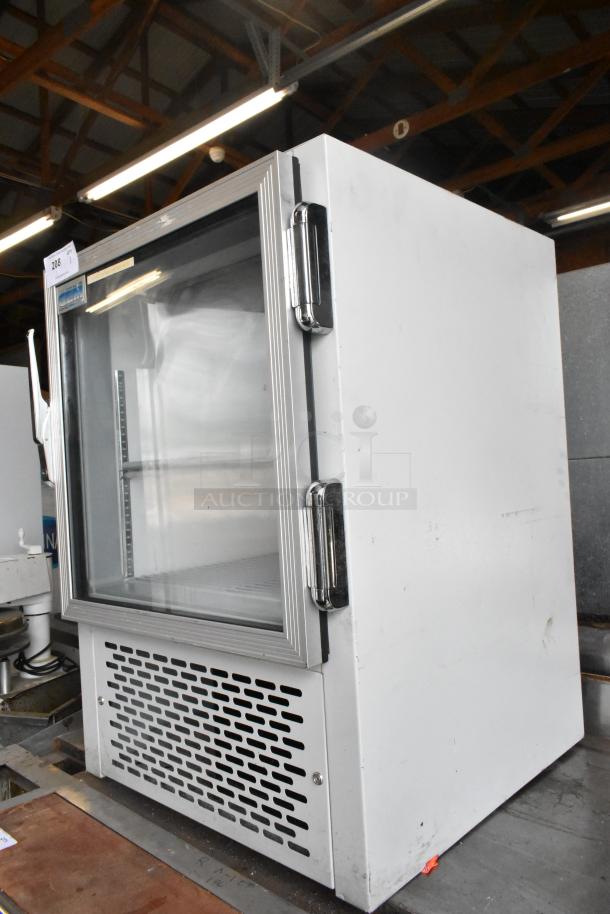 GEM CTR metal mini cooler merchandiser. 115 volts, 1 phase. Glass door, stainless steel handle, good condition.