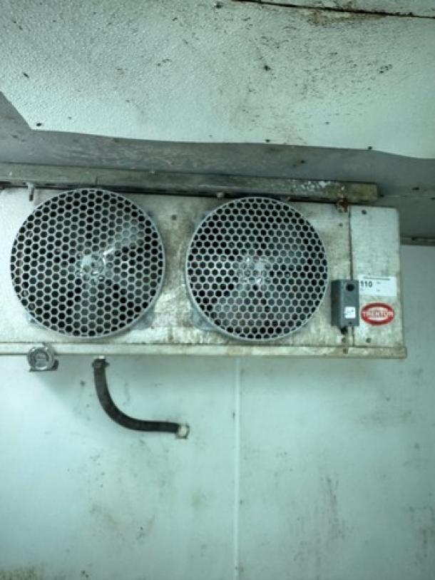 Trenton Refrigeration Unit, Model TPLP209MAS1BR6, 1 Phase, 115V, dual fans, tested and working, visible wear.