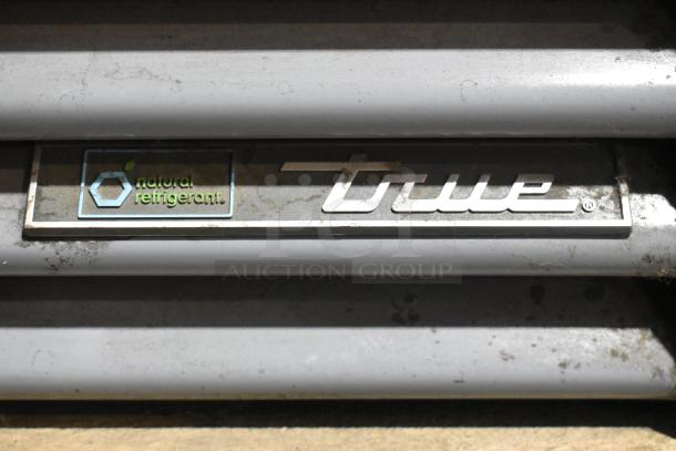 True GDM-12-HC cooler with "True" and "natural refrigerant" logos. Metal construction, reach-in single door, 115V, 1 phase.