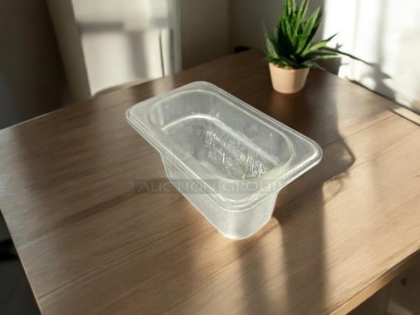 Welshine 1/9 Size 4" Deep Clear Plastic Food Pan, excellent condition, used for food storage or prep.