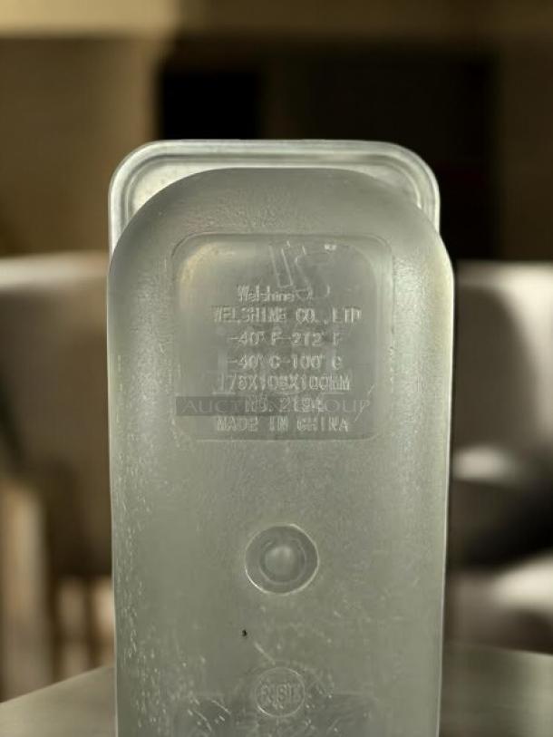 Welshine 1/9 Size 4" Deep Clear Food Pan, Made in China, -40°F to 212°F, Model No. 2194, in excellent condition.