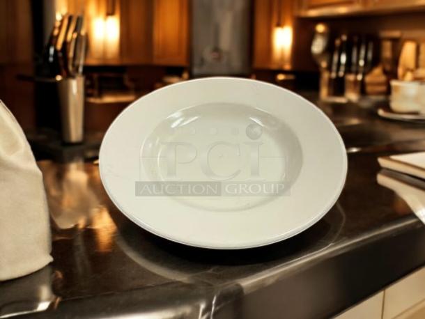 The Dish Factory 12” eggshell dining plate in awesome condition, pristine surface, ideal for elegant table settings.