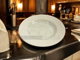 The Dish Factory 12” eggshell dining plate in awesome condition, pristine surface, ideal for elegant table settings.