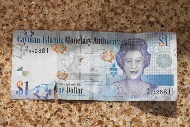 Cayman Islands $1 note featuring detailed aquatic designs and a portrait with visible serial number D/4942881, in circulated condition.
