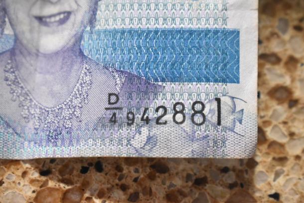 Close-up of a Cayman Islands $1 note, with serial number D4942881 visible. Blue security features accent the intricate design.