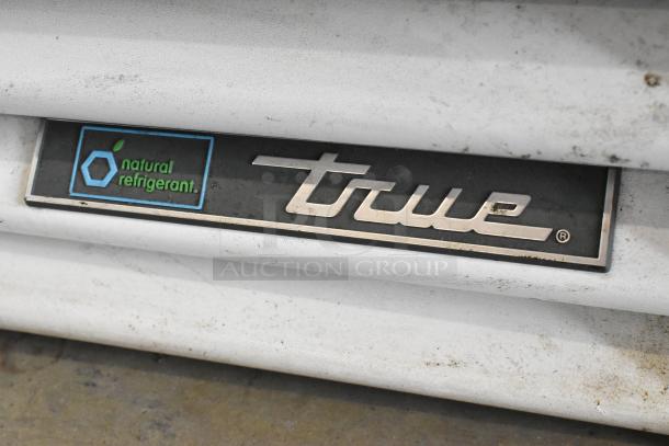 True ZGDM-36SL-HC-LD cooler logo with "natural refrigerant" label, metal finish, slight wear visible.