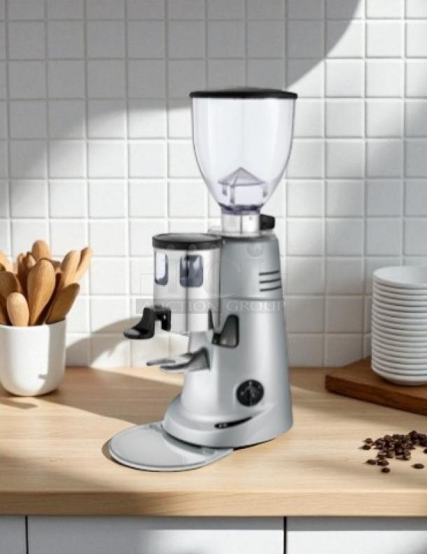 Fiorenzato F5 Automatic Coffee Grinder, silver, 350 watt/115v, fully tested and working, in excellent condition.