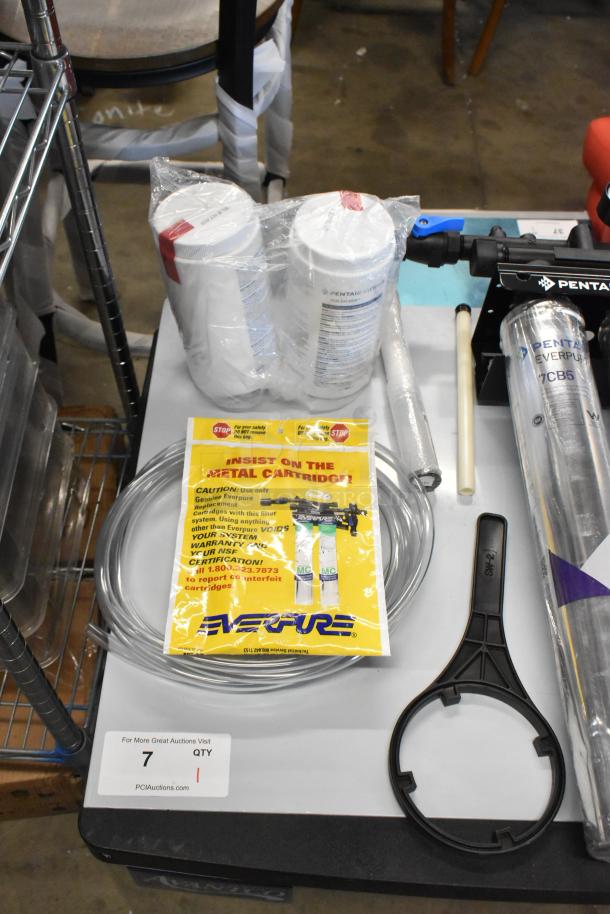 Brand new Everpure EV9797-22 Kleensteam II Twin Water Filtration System, 5 micron, 5 GPM, with accessories and packaging.