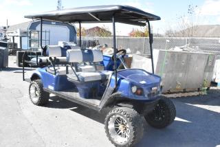 EZ Go blue and white 6-seat golf cart with speaker system. Features off-road tires, canopy roof, and dual-tone seats.