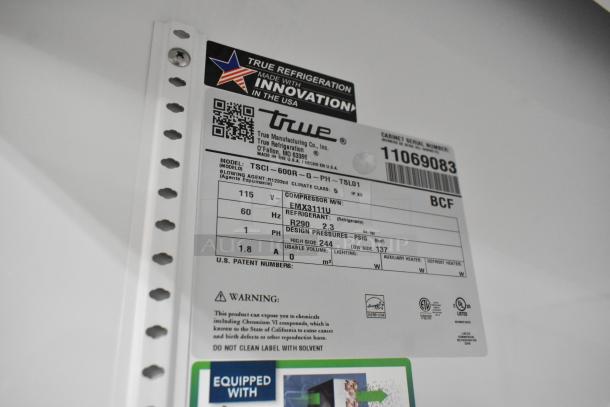 Label of True TSCI-600R-G-PH cooler showing model, voltage, refrigerant type R290, and energy specifications.