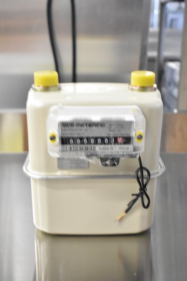 BRAND NEW EKM EKM-PGM.75 gas meter, 0.75 in., pulse output. Minor dent. Serial number visible.
