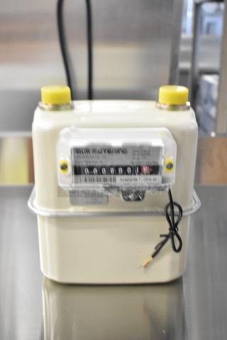 BRAND NEW EKM EKM-PGM.75 gas meter, 0.75 in., pulse output. Minor dent. Serial number visible.