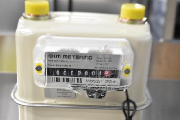 2 new EKM EKM-PGM.75 gas meters, 0.75 in. pulse output, slight scratches and dents. Serial No. S/N012037.