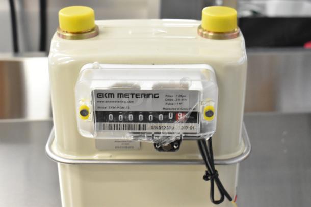 3 brand new EKM EKM-PGM.75 gas meters, 0.75 in., pulse output, with tags showing specifications, scratch and dent condition.