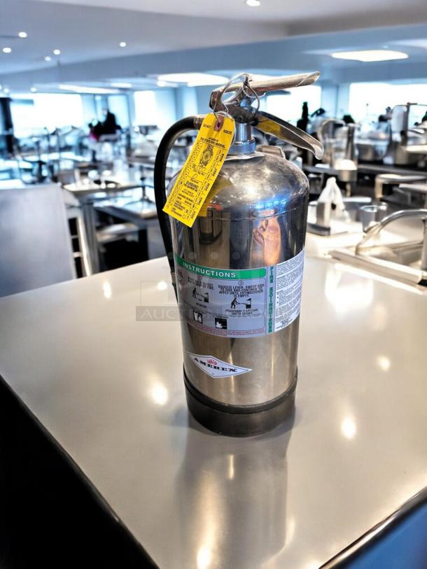 Amerex B260 fire extinguisher, 6L, stainless steel, Class K, excellent condition, yellow inspection tag, tested and working.