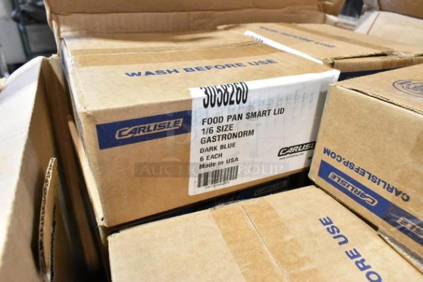 25 new scratch and dent boxes with Carlisle Food Pan Smart Lids and To Go Containers, labels show 1/6 size, dark blue.