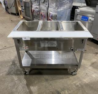 Duke Manufacturing AeroHot Series 3-Well Hot Food Steamtable, Model WB303, stainless steel, with undershelf, cutting board, on casters.