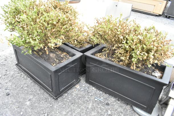 Three large black rectangular planters with green foliage, showing signs of dryness; substantial outdoor decor.