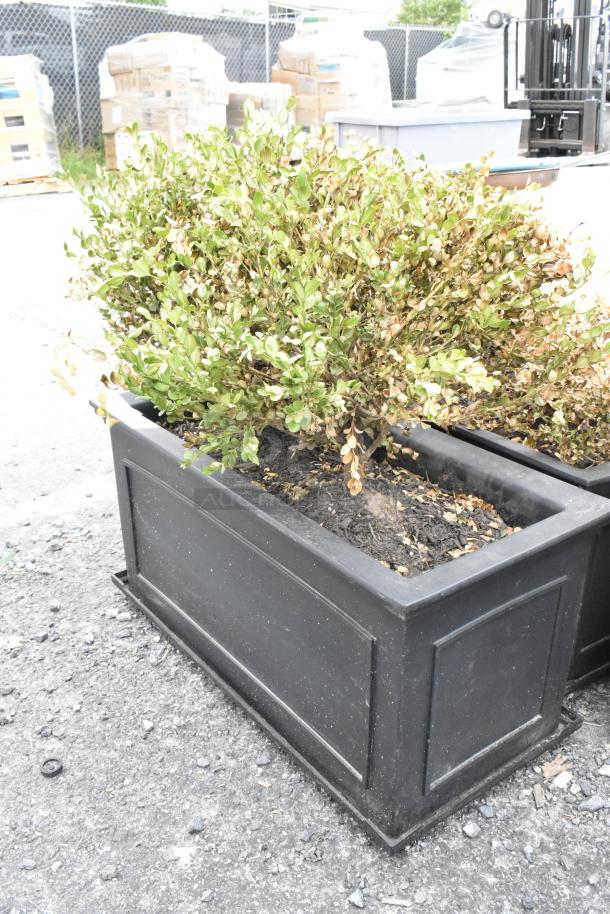 Black rectangular planter with green shrub, displayed outdoors. Sturdy condition, includes three planters with contents.