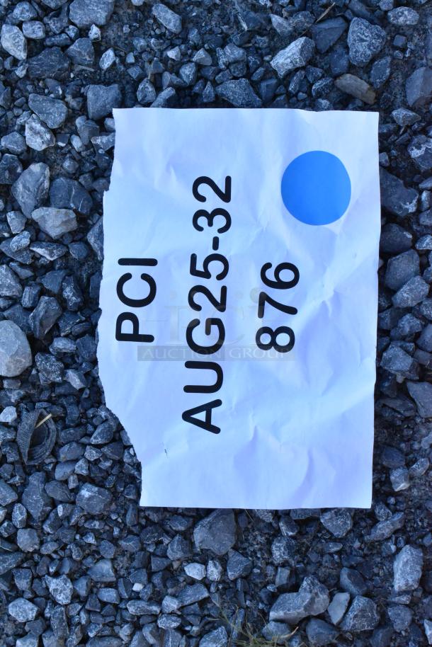 Auction tag on rocks, labeled "PCI AUG25-32 876" with a blue dot.