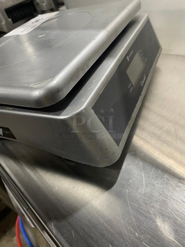 San Jamar SCDGM66 digital scale, 66 lb capacity, stainless steel plate, showing minor wear.