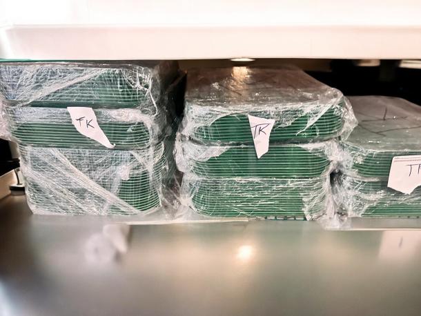 Excellent condition Cambro Camtray green food service trays, model 23-3, NSF certified, fully tested, stacks wrapped in plastic.