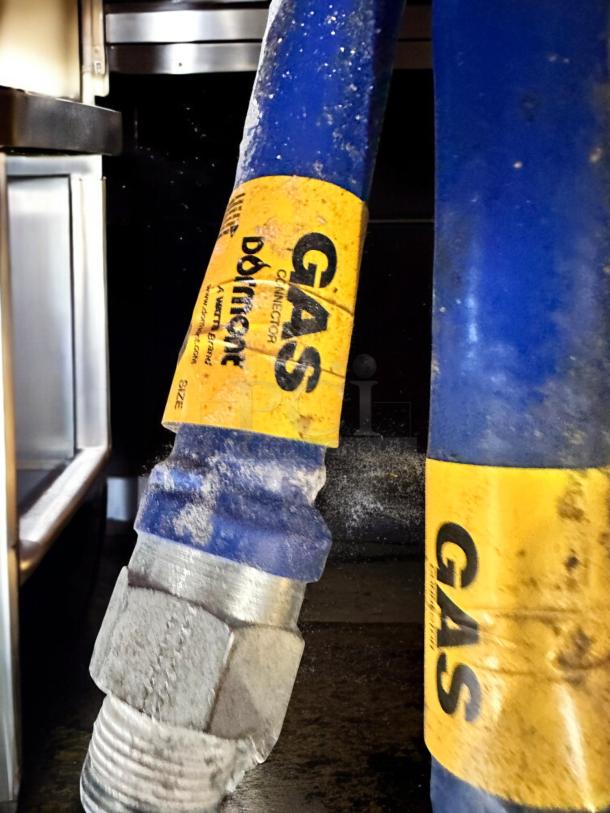 Dormont commercial gas connector hoses in blue-coated stainless steel, showing "GAS" and "Dormont" labels, NSF certified.