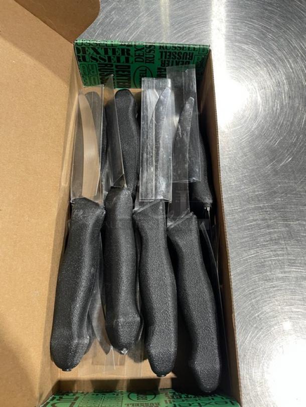 Dexter Russell Prodex Series stainless steel boning knives, model PDSH1316ST, with black grip handles in box. Brand new.