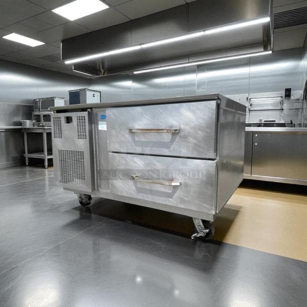 Randel Model 20048-513 2 Drawer Refrigerated Chef Base, stainless steel, with wheels, tested and working condition.