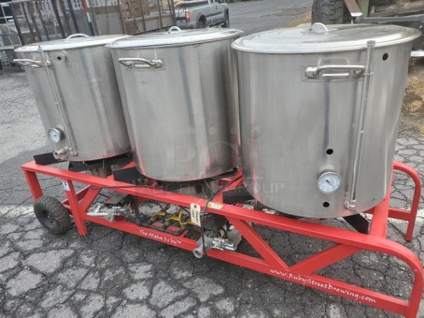 The Alpha Ruby 1 Barrel Brew System, stainless steel, gas or propane compatible, includes 8 kegs, pick up only.