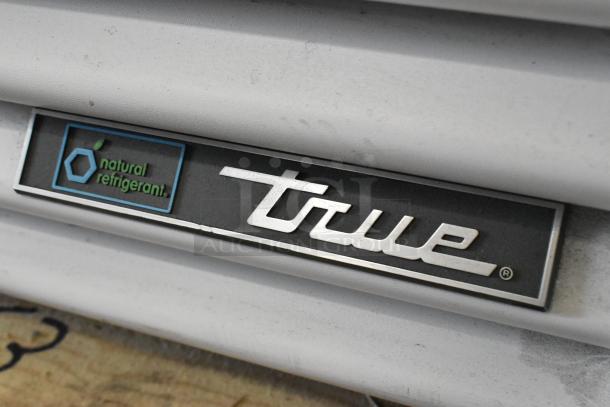 True TSCI-600R-G-PH cooler logo showing "Natural Refrigerant" tag on metal surface.