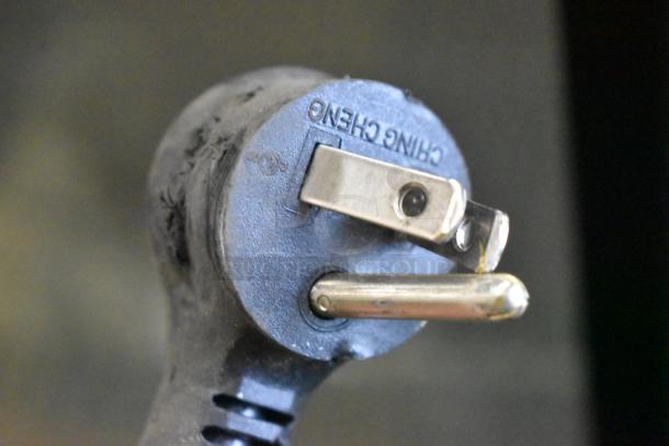 Close-up of a power plug with visible prongs, labeled "CHING CHENG," part of a 2020 True GDM-06-34-HC cooler.