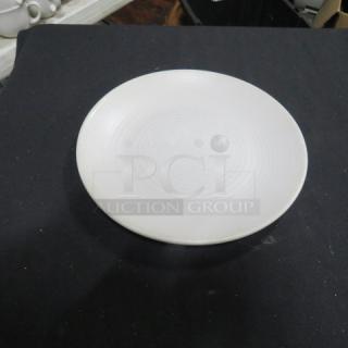 10.5 Inch Evolution Plate, white, round with subtle concentric design, excellent condition, by Evolution.