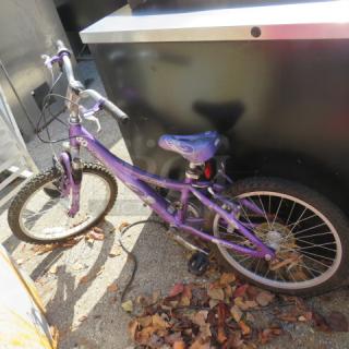 Purple children's bicycle with a blue seat, sturdy frame, and front suspension. Moderate wear, suitable for young riders.
