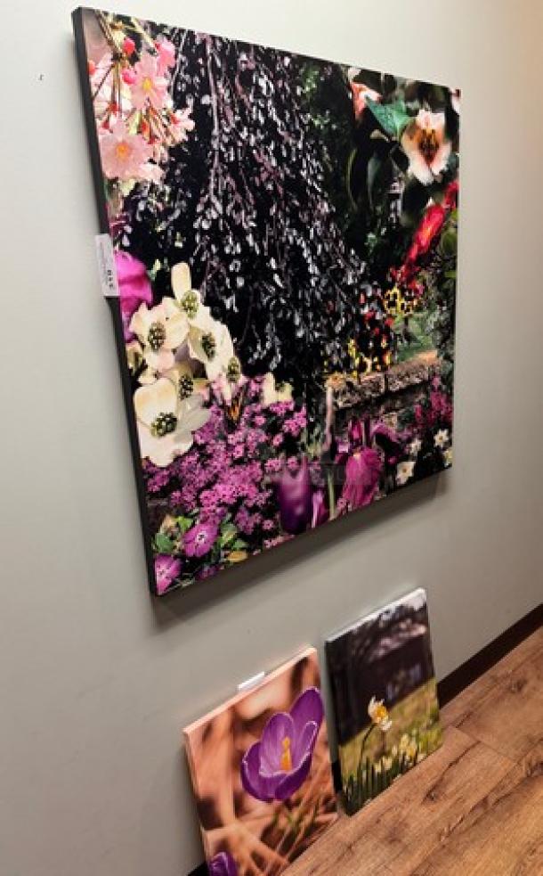 Set of three wall flower pictures featuring vibrant floral designs, various sizes, excellent condition, ready to hang.