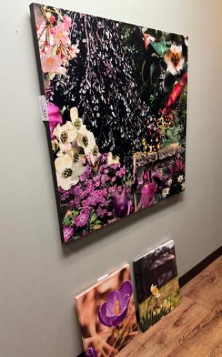 Set of three wall flower pictures featuring vibrant floral designs, various sizes, excellent condition, ready to hang.